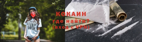 твердый Горняк