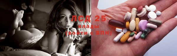 твердый Горняк