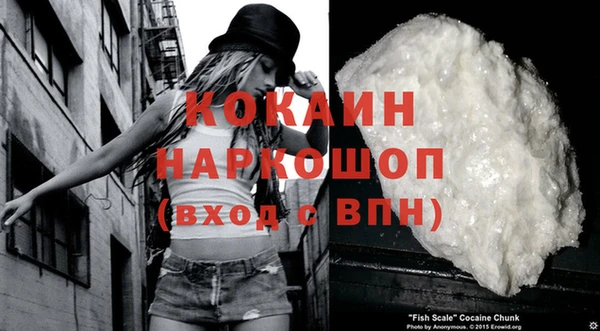 твердый Горняк