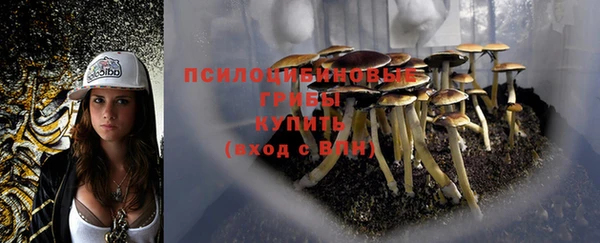 марки lsd Горно-Алтайск