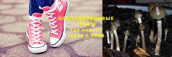 твердый Горняк