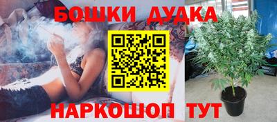 spice Заводоуковск