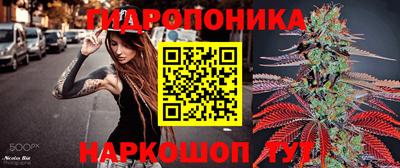 a pvp Заволжье
