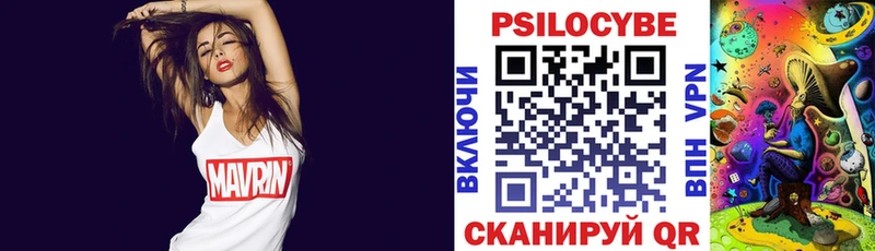 как найти   Буйнакск  Галлюциногенные грибы Psilocybine cubensis 