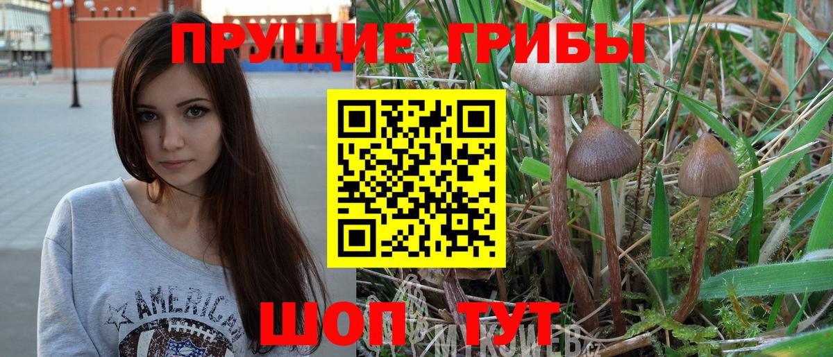 Псилоцибиновые грибы MAGIC MUSHROOMS  Вход с VPN  Буйнакск 