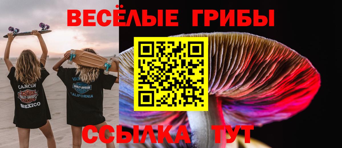 Галлюциногенные грибы GOLDEN TEACHER Буйнакск